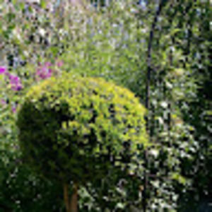 Meet your Posher, Catherine